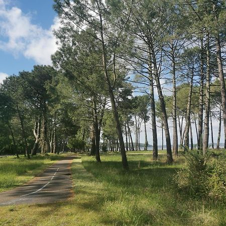 Appartements Au Coeur Du Golf, Proche Du Lac Et Velodyssee Biscarrosse Luaran gambar