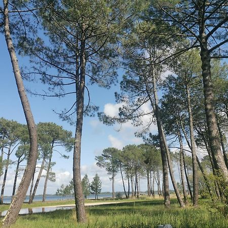 Appartements Au Coeur Du Golf, Proche Du Lac Et Velodyssee Biscarrosse Luaran gambar